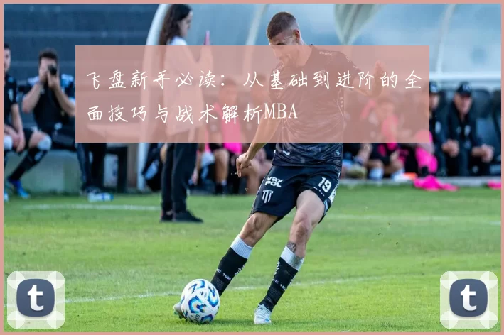 飞盘新手必读：从基础到进阶的全面技巧与战术解析MBA
