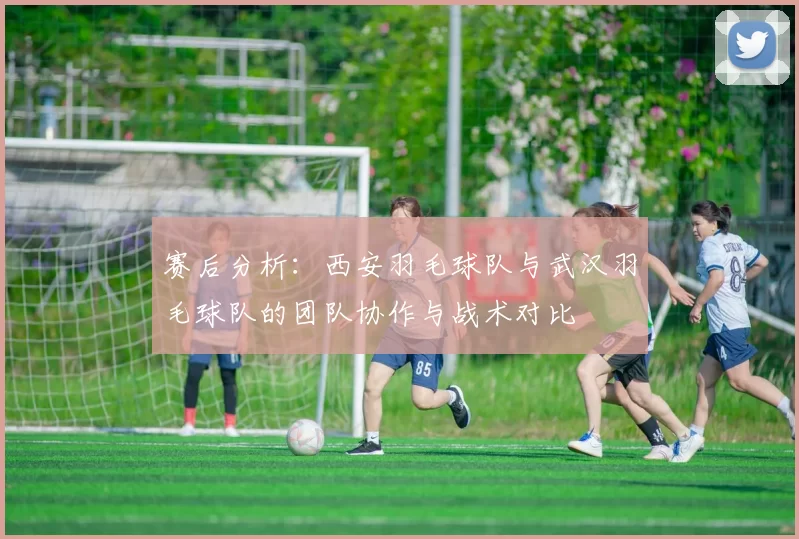 赛后分析：西安羽毛球队与武汉羽毛球队的团队协作与战术对比