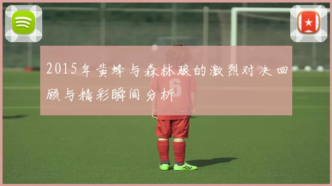 2015年黄蜂与森林狼的激烈对决回顾与精彩瞬间分析