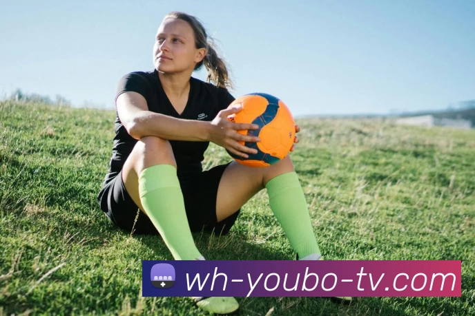 yb优博体育发展历程