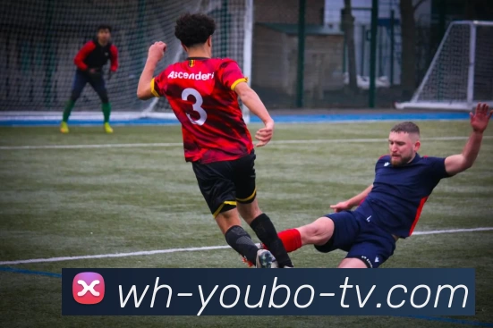 yb优博体育发展历程